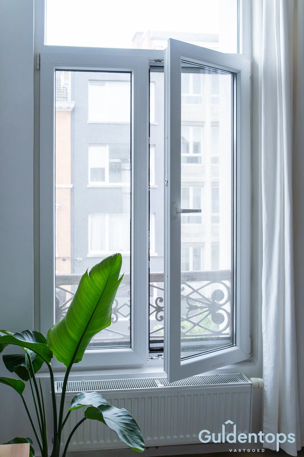 Goudbloemstraat_9_Verhaegen_Matthias-10.jpg