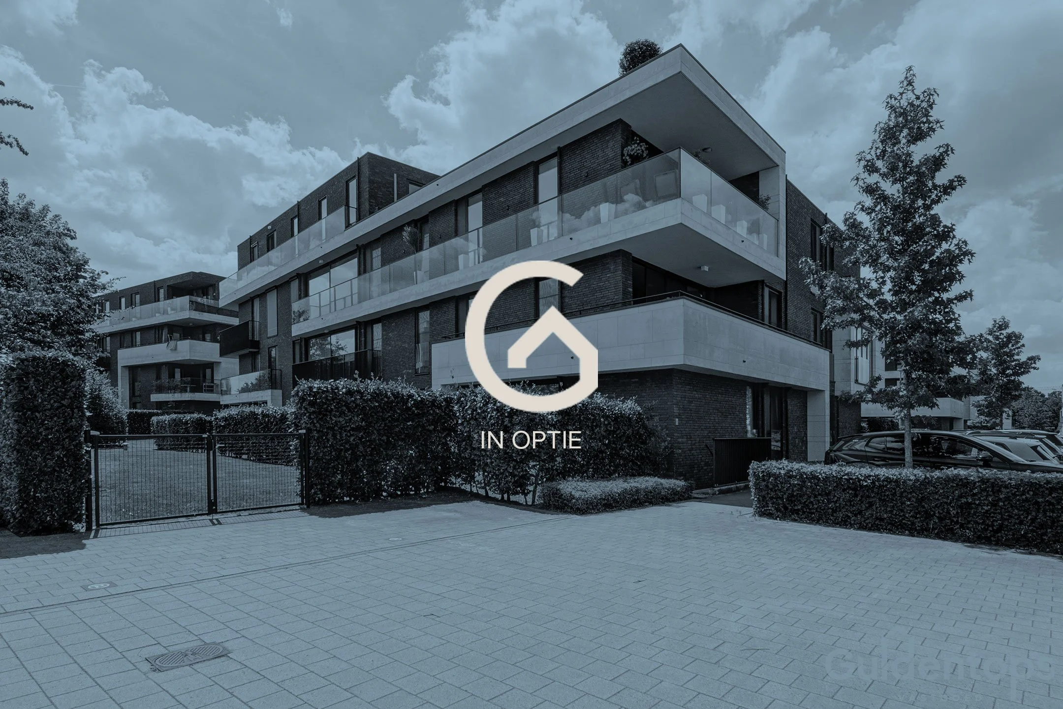 In optie, Edegem