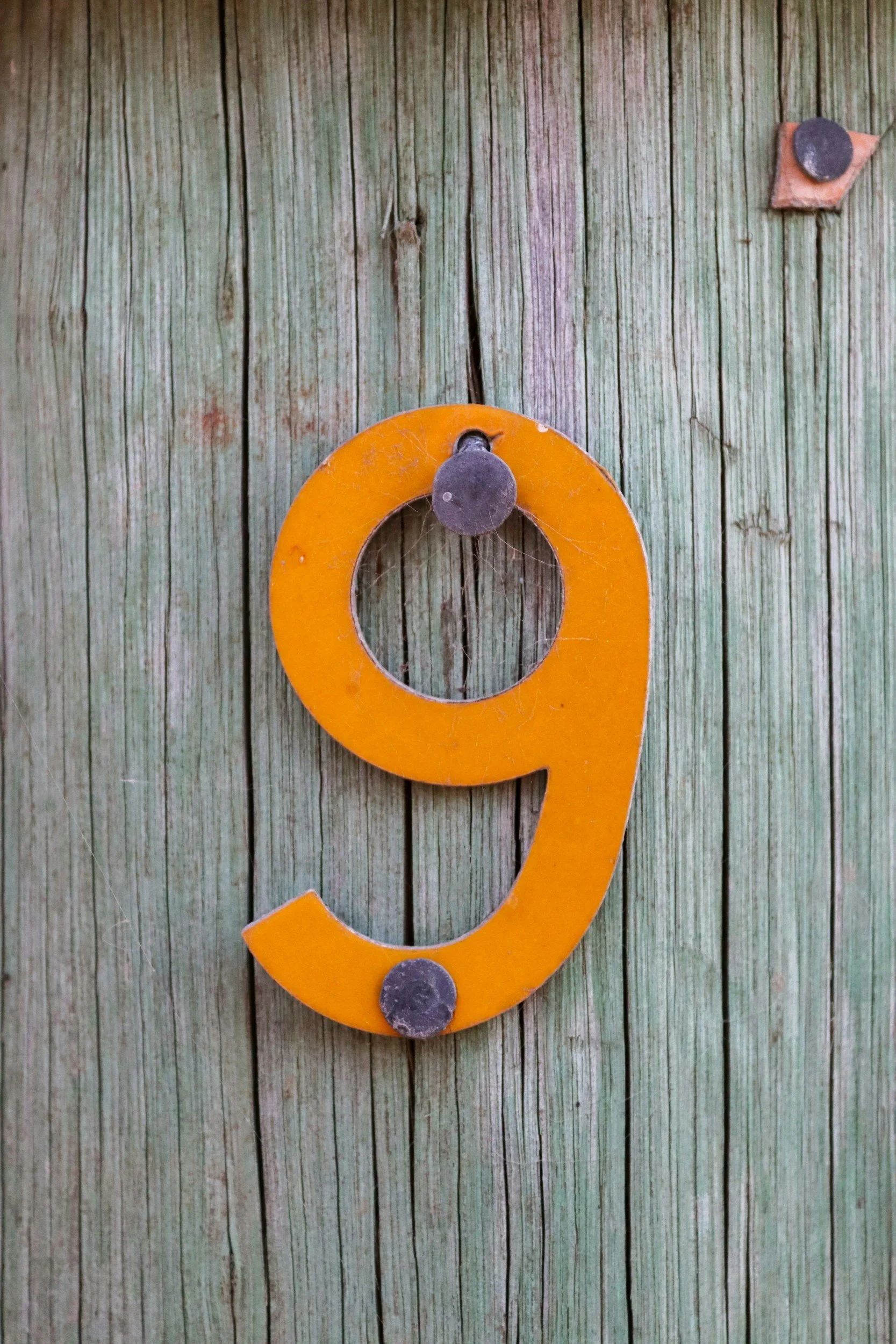 The Peace That Roars