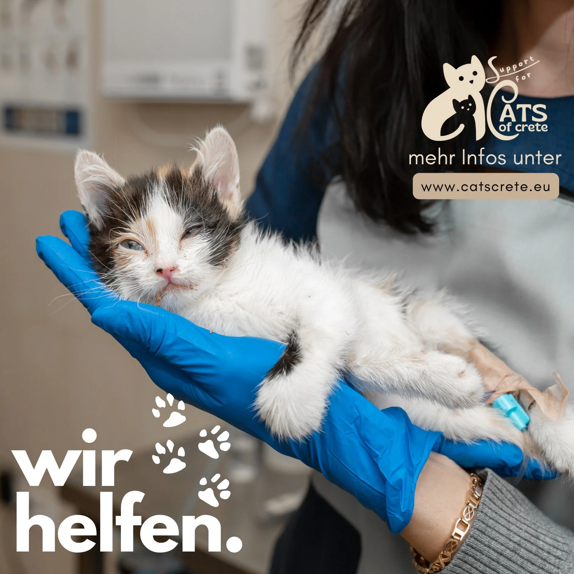 Heute kein fr&ouml;hliches Katzenfoto f&uuml;r Euch. Wir Katzen auf Kreta brauchen dringend Unterst&uuml;tzung um &uuml;berleben zu k&ouml;nnen 🐈🐈🐈

 #kr&eacute;ta #kreta #krēta #kreta☀️ #kretaurlaub #katzenleben #katzenfoto #spenden #hilfekatzen 