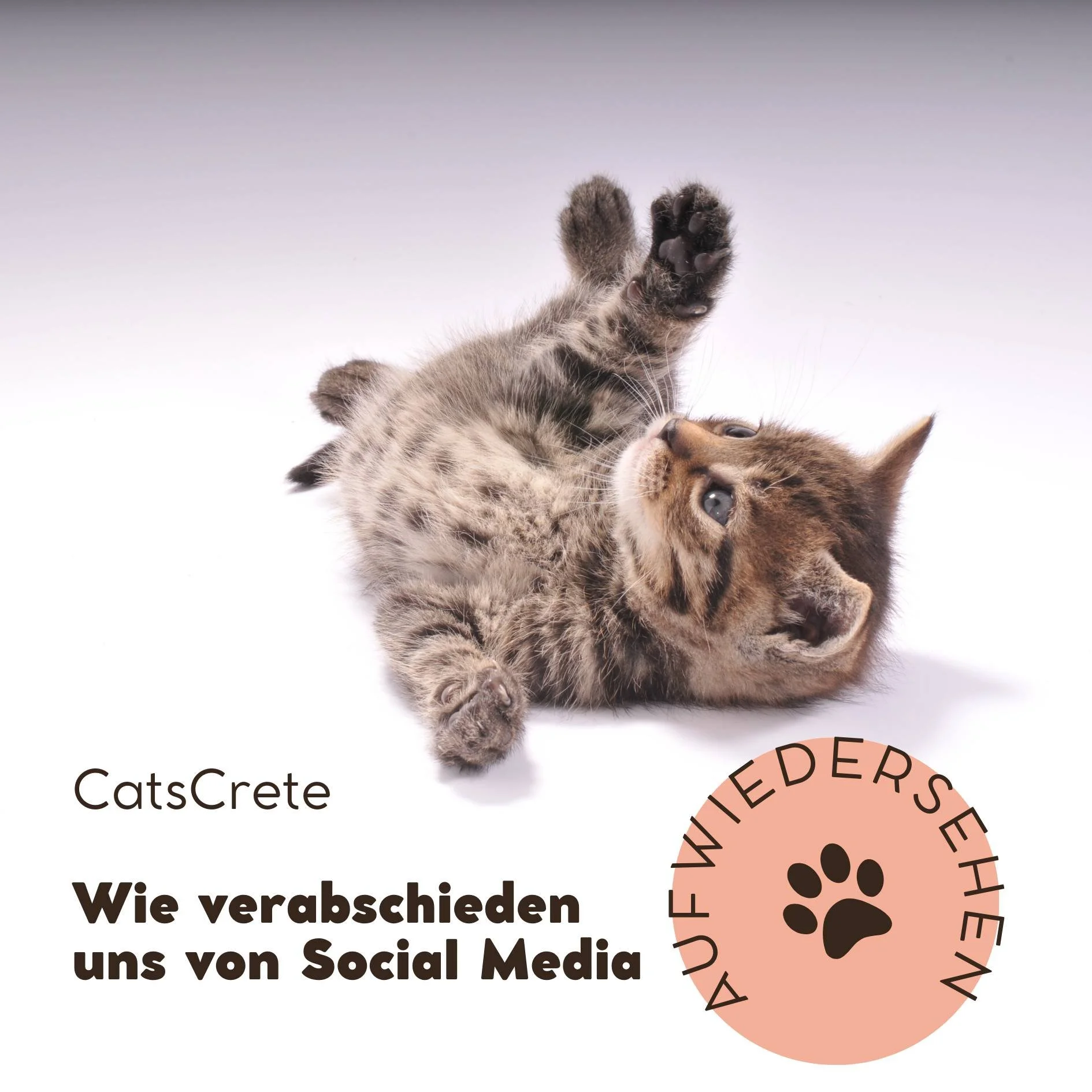 Es war sehr sch&ouml;n, es hat uns sehr gefreut.

Uns liegt das Wohlergehen unserer Mitbewohner auf Kreta sehr am Herzen, deshalb wollten wir unser Engagement gerne multiplizieren und auch anderen Tierfreunden die M&ouml;glichkeiten bieten, sich dara