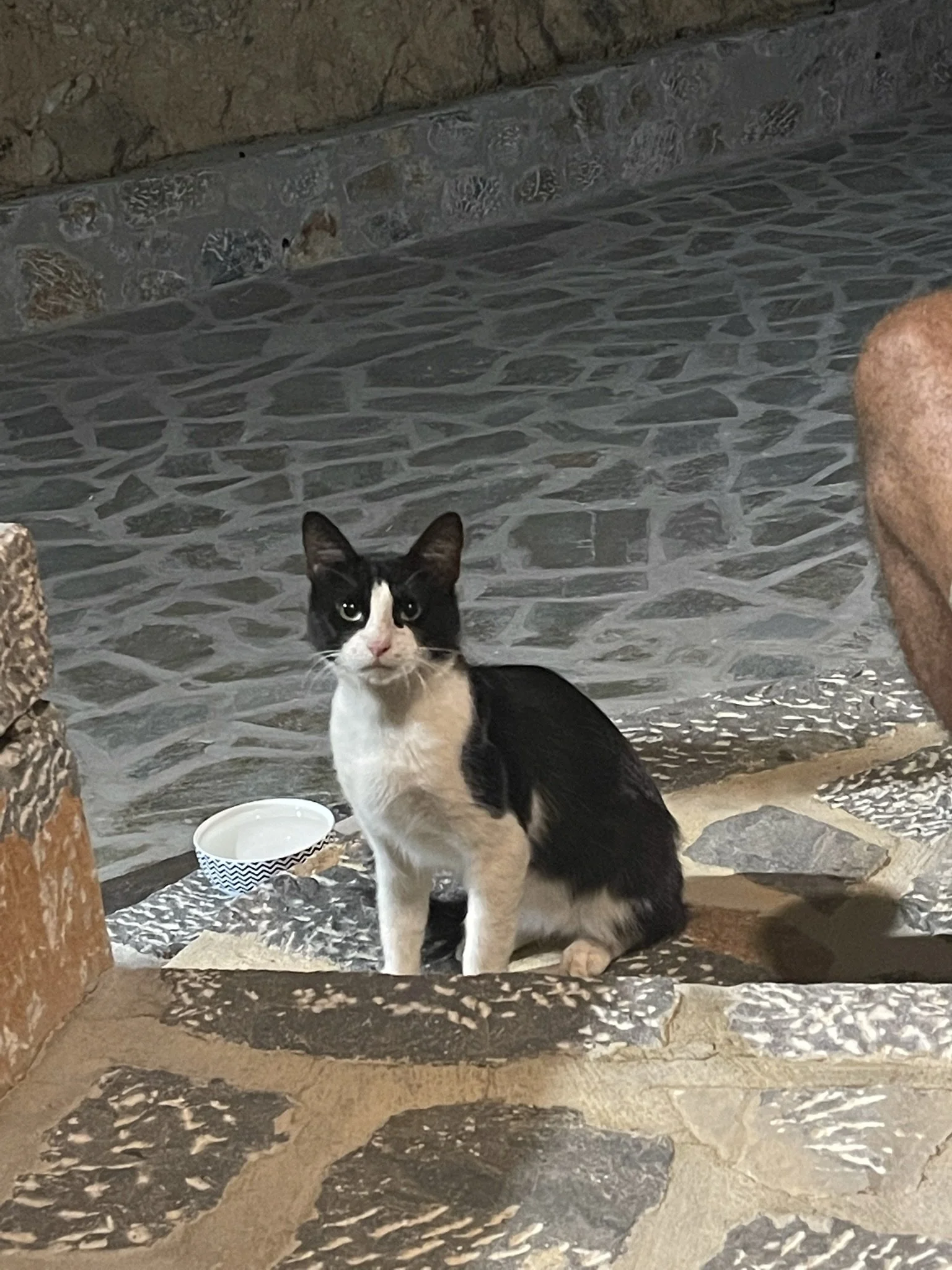 IMG_5166.JPEG