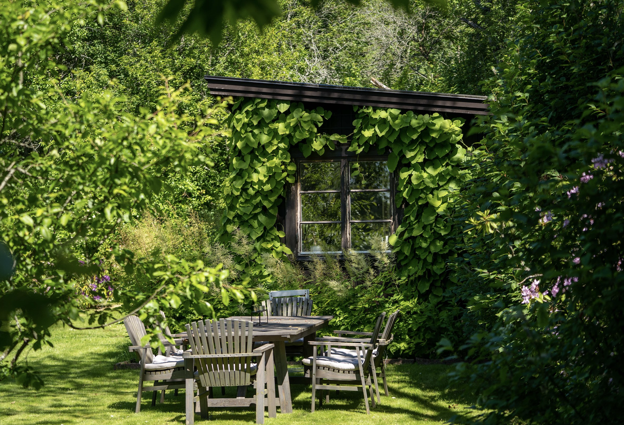 Screenshot 2026-02-18 at 13.23.34.png