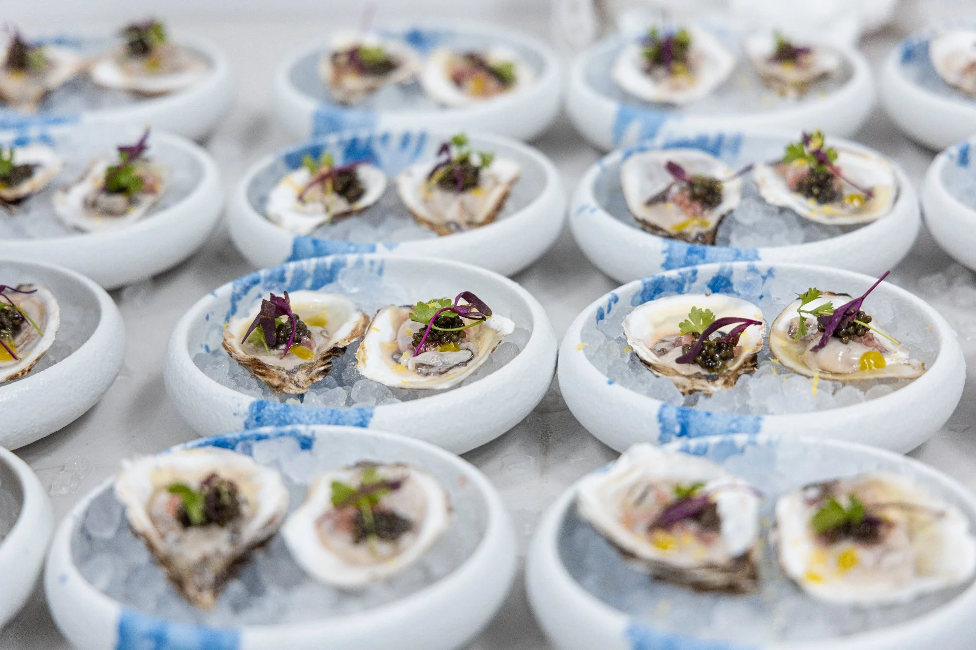 dish-oysters-DgbHVWeC.jpg