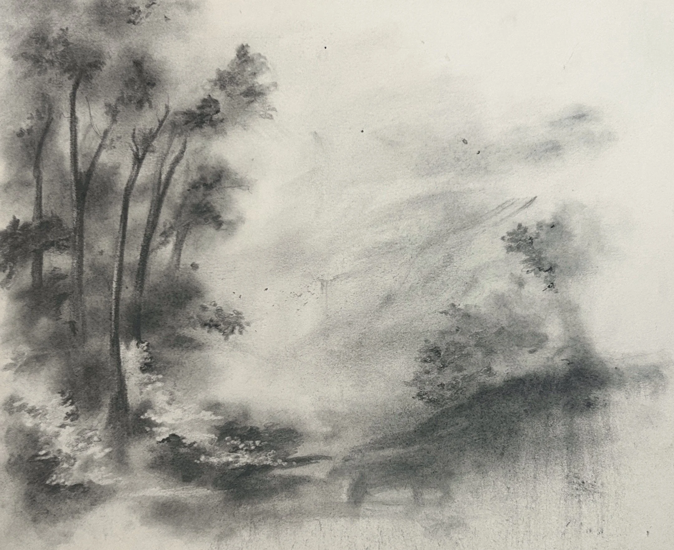 Untitled_Graphite on Paper_11 2:8 X 9 1:8%22_2025.jpg