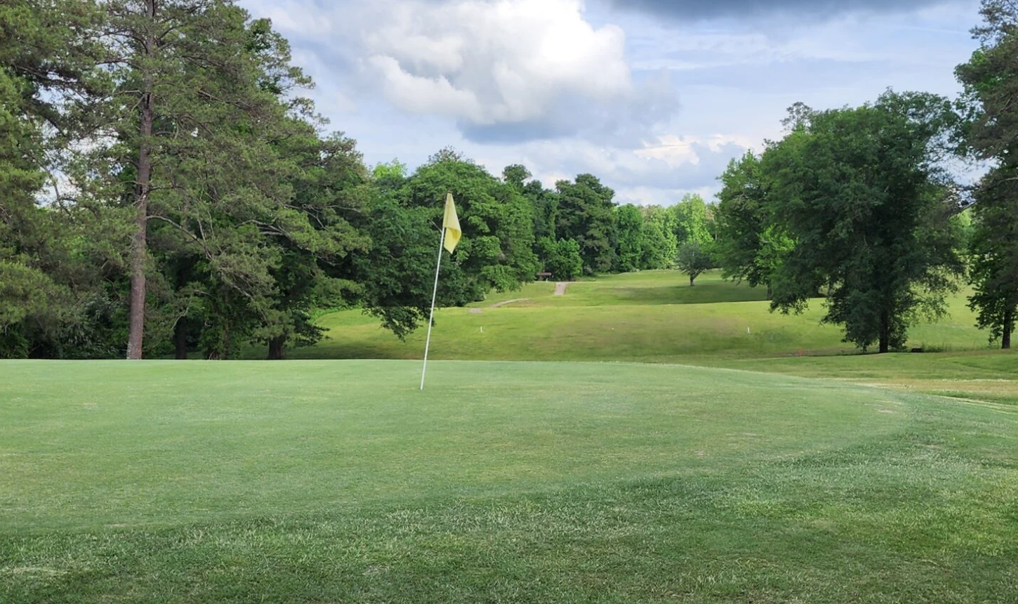 The Life and Times of a Homespun Golf Game