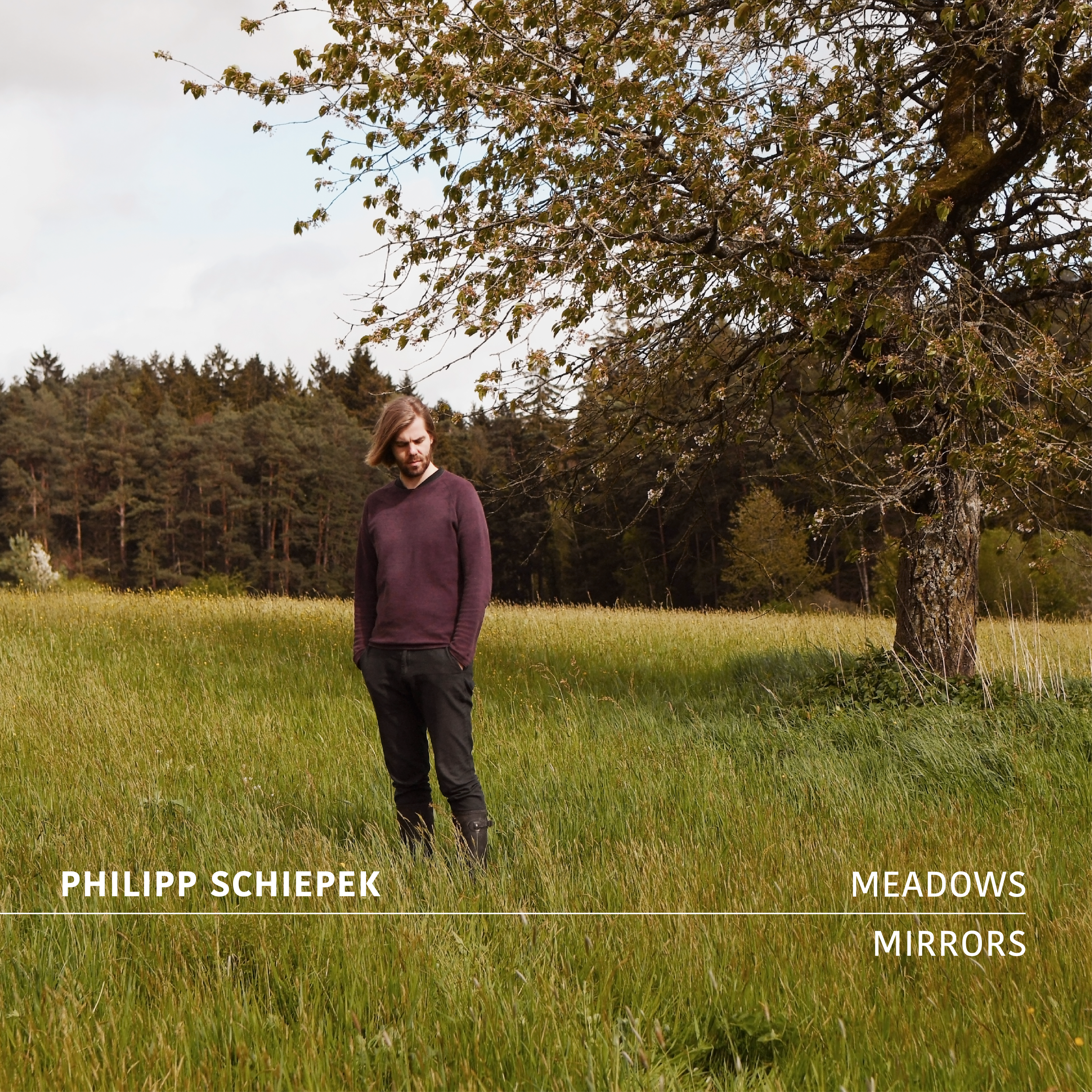 Titel_MEADOWS AND MIRRORS.png