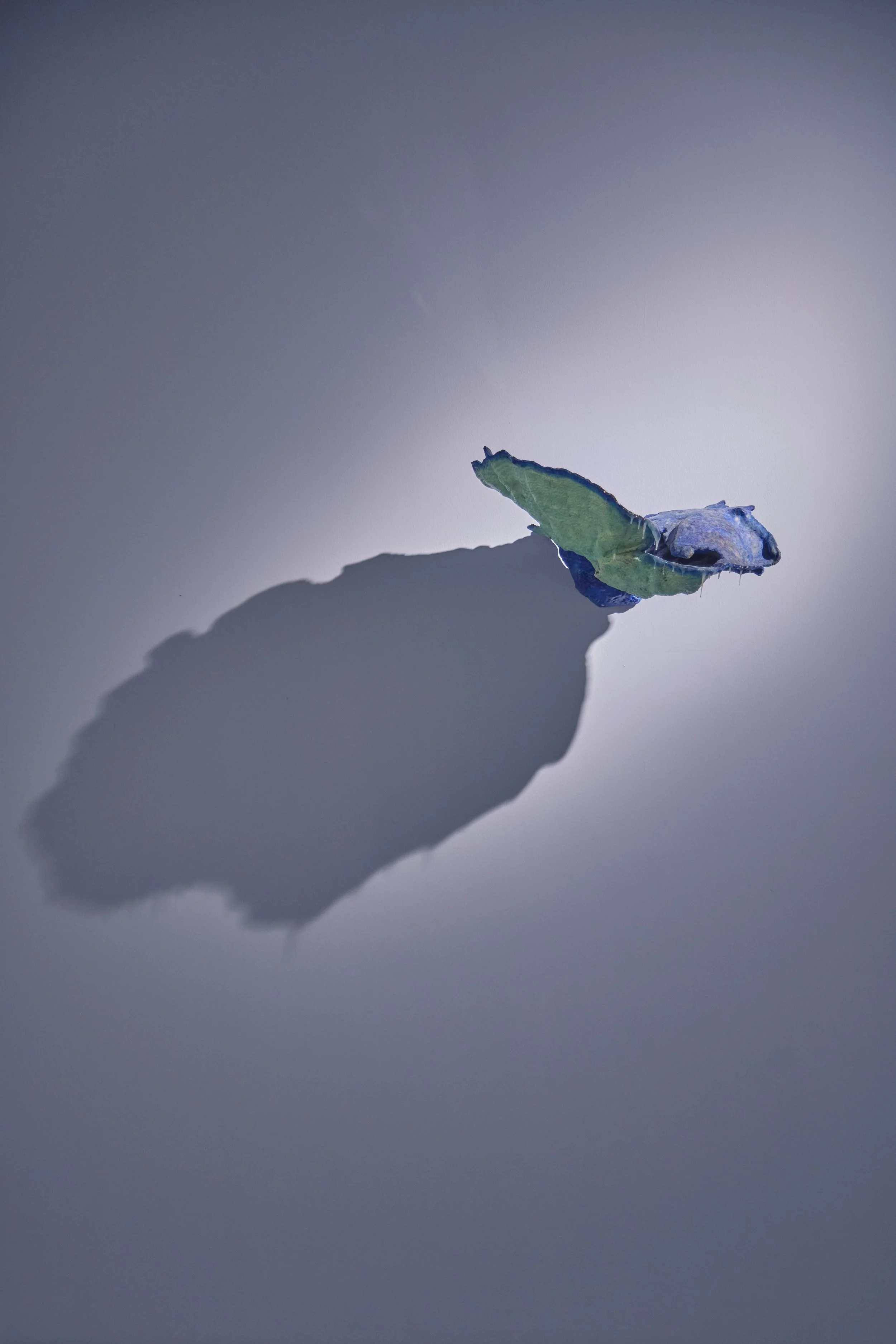 Direction of tears, 2022 