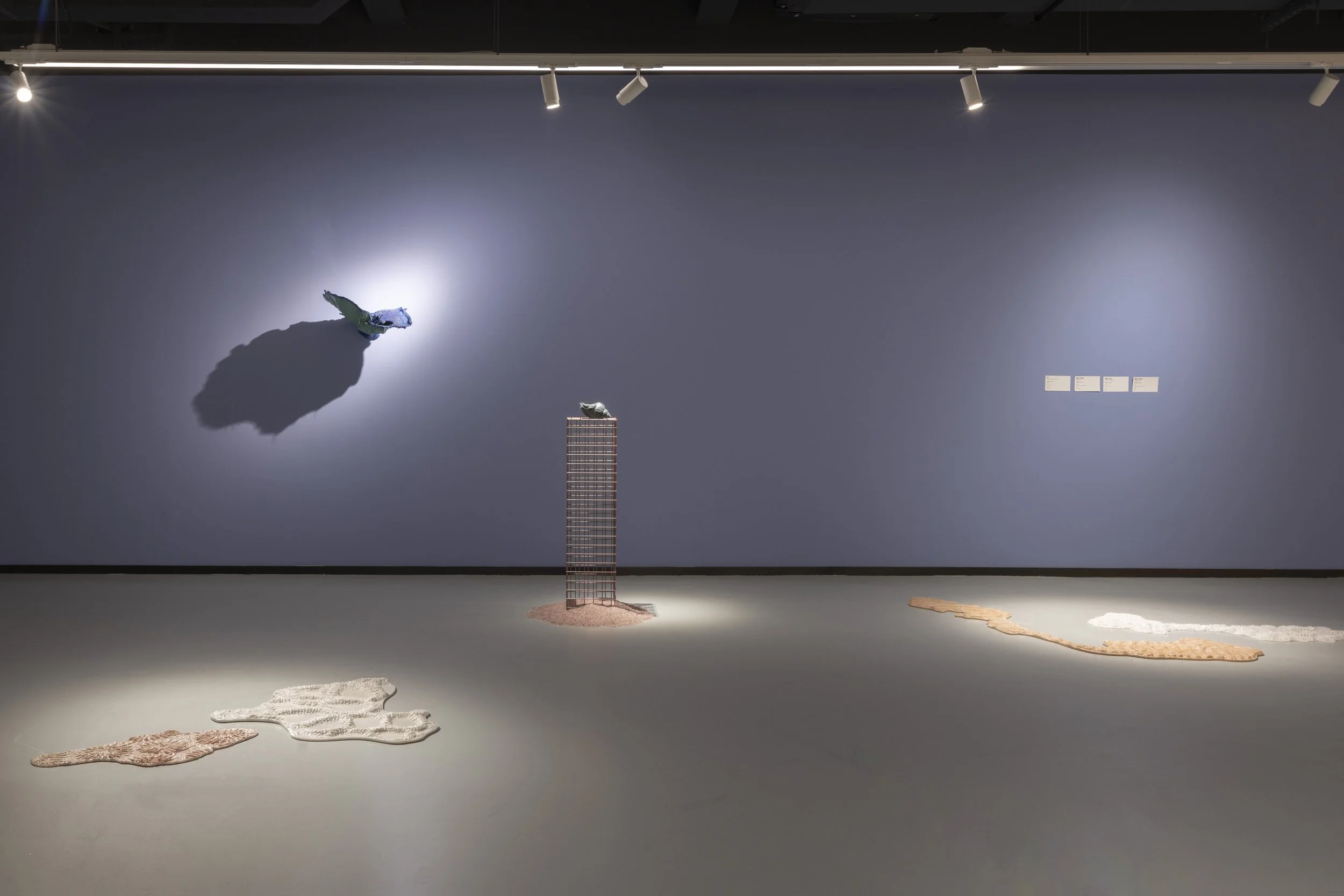 Sea of tranquility installation view, 2025 