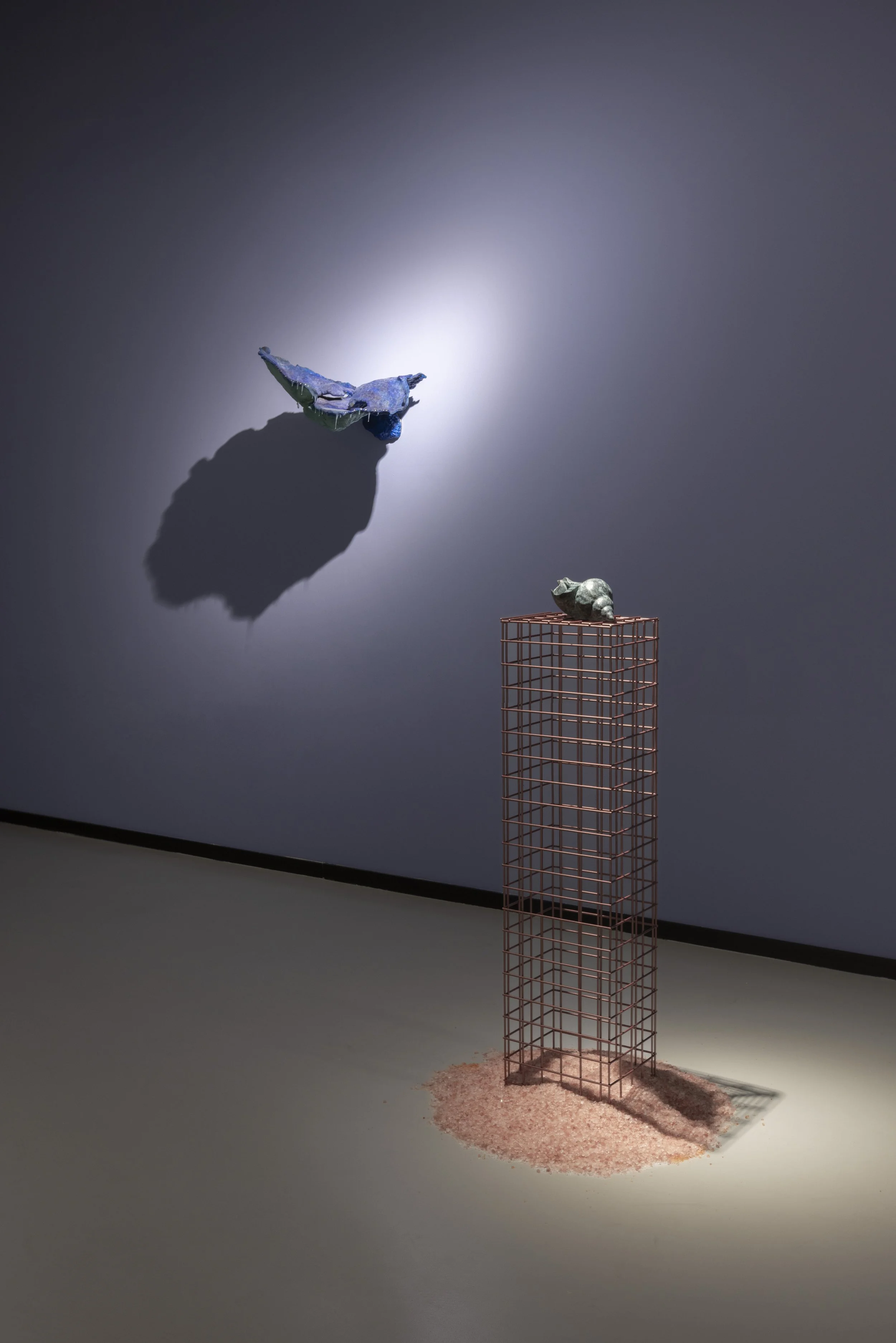 Sea of tranquility installation view, 2025