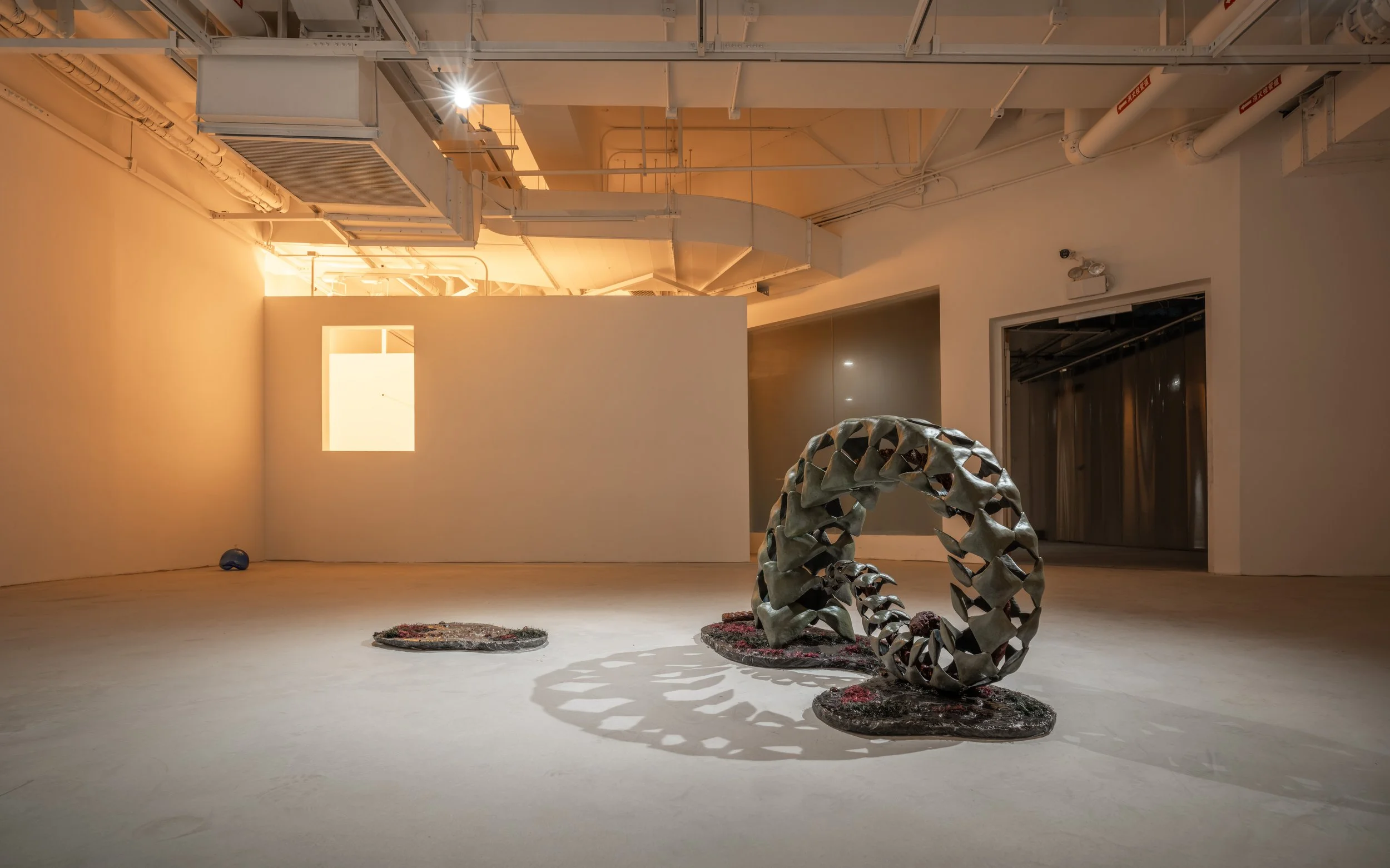 Nameless Here For Evermore installation view 