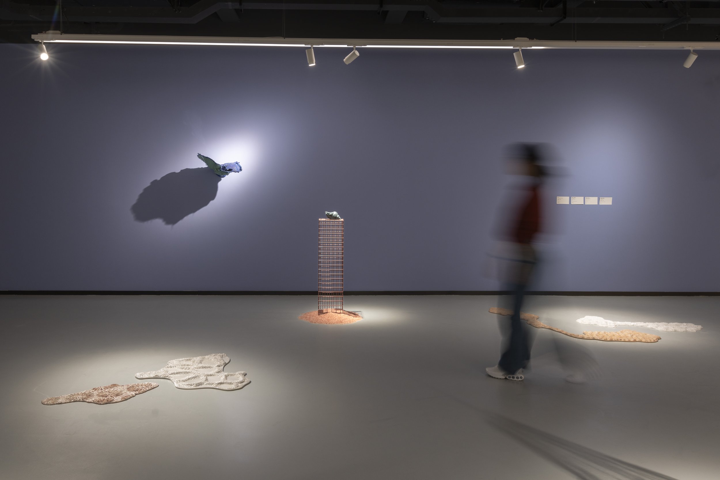 Sea of tranquility installation view, 2025 