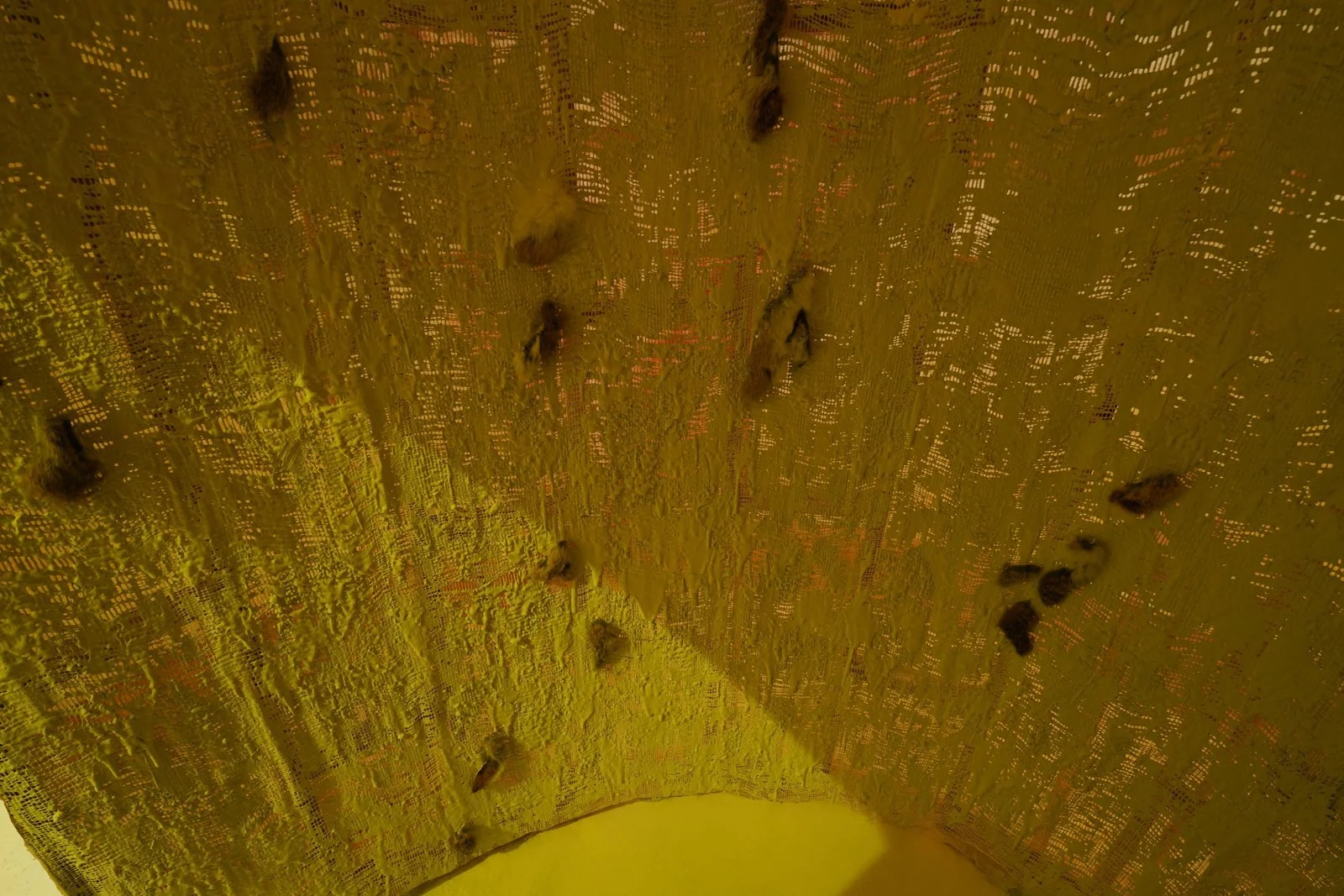 Installation view, The World Forgetting, by the World Forgot, Sherbet Green, London, 2024