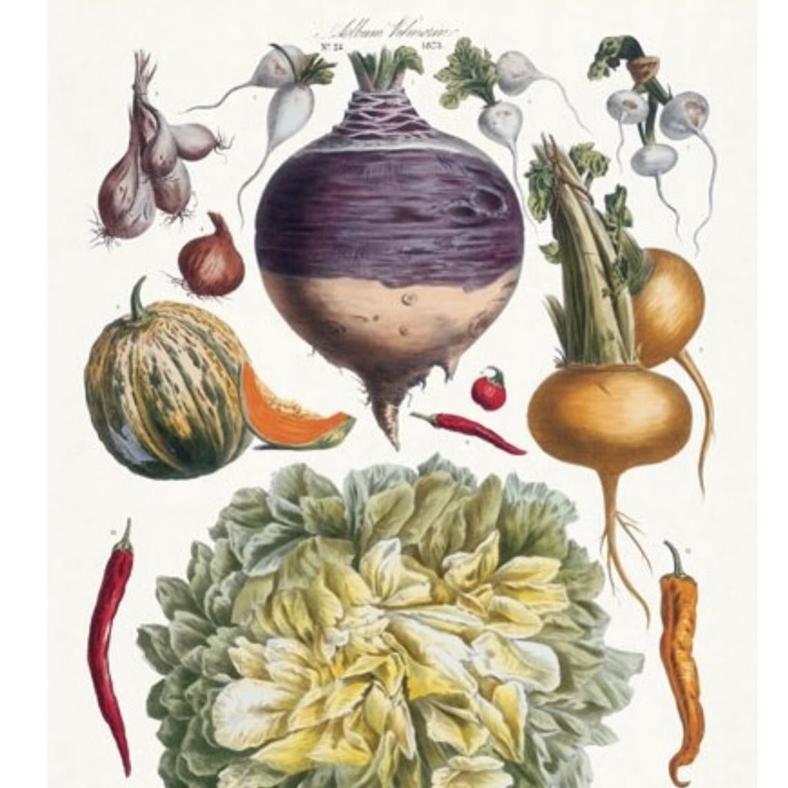 A seed catalogue by French company Vilmorin-Andrieux &amp; Cie, published in 1766 🥕🥦🥬
In the second half of the 18th century, many British estates had large gardens and orchards. Canals could be used to transport produce around the country and roa