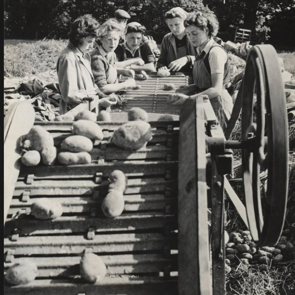 Members of the Women&rsquo;s Land Army harvesting potatoes in 1944 🥔
During World War Two, as well as World War One, British women known as Land Girls went to work on farms to fill the gaps as men were called to fight. They were vital to keeping the