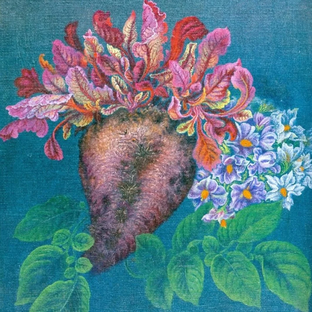 Beetroot by Kateryna Bilokour (Ukrainian, 1959) 🫜
Growing up in the village Bohdanivka, Bilokour&rsquo;s parents disproved of her artistic hobby but she carried on practising in secret. In 1940, Bilokur sent singer Okdana Petrusenko a painting after