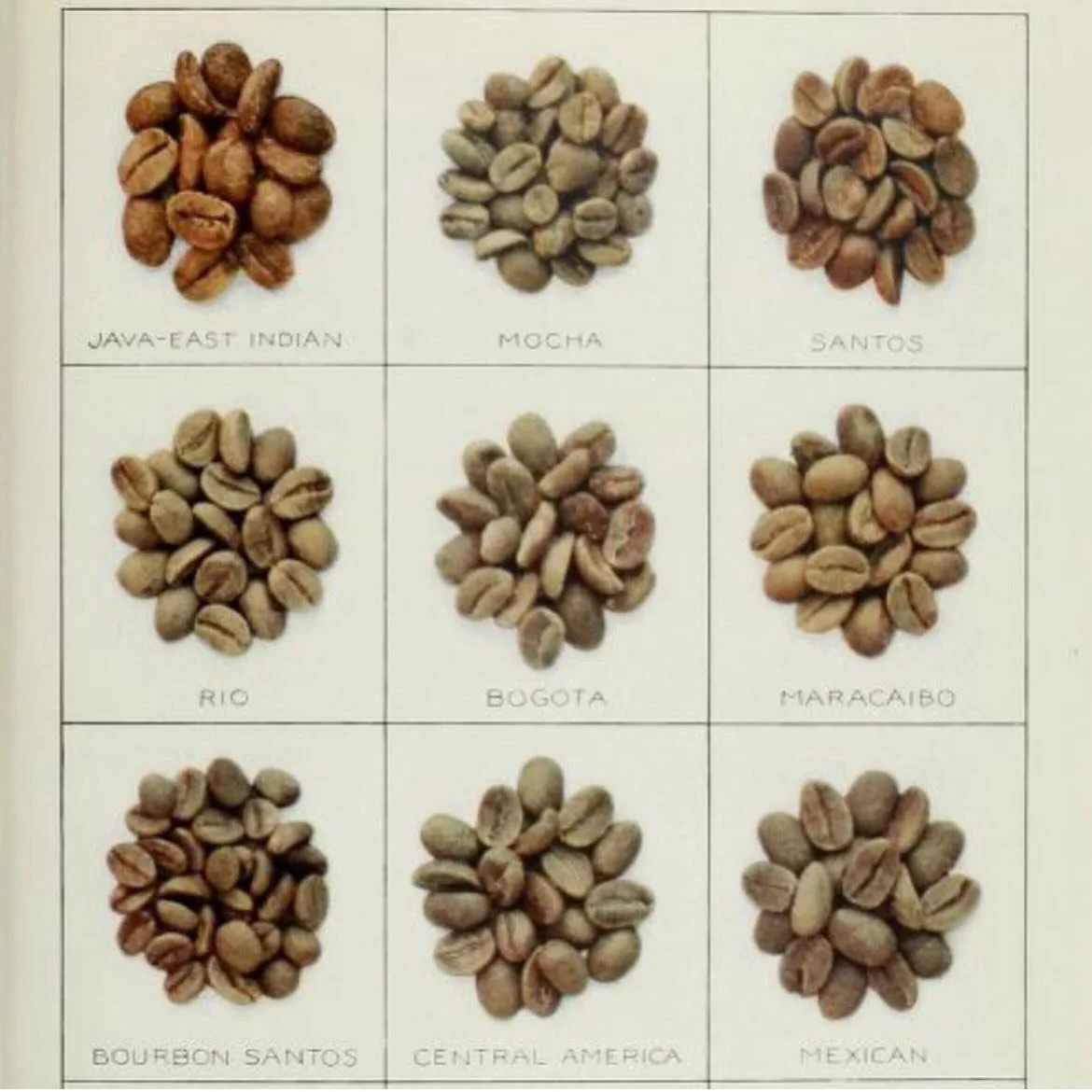 Coffee from Artemus Ward&rsquo;s Grocer&rsquo;s Encyclopaedia (American, 1911) ☕️
Of coffee beans Ward wrote that the &lsquo;Rios&rsquo; (from Brazil, the then- largest importer of coffee beans to the USA) were the cheapest and of the lowest quality,