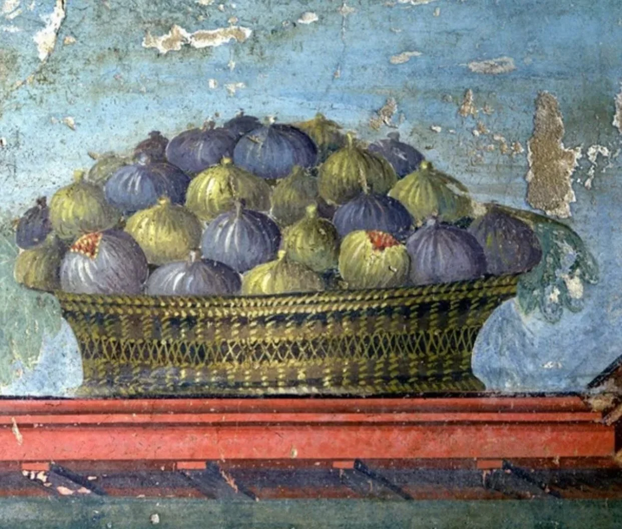 Originating in present-day Turkey, the fig found its way into myths and religions from across the world 🌏
Buddha found enlightenment meditating under a great fig tree. In the Christian book of Genesis, Adam and Eve cover themselves with fig leaves a