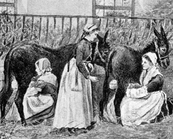 Donkey&rsquo;s milk is so similar to human breast milk that it has been used to feed babies in orphanages for centuries. Here you can see direct infant feeding depicted in S. H. Sandler&rsquo;s Infant Feeding by Artificial Means (1895) 🫏
Donkey milk