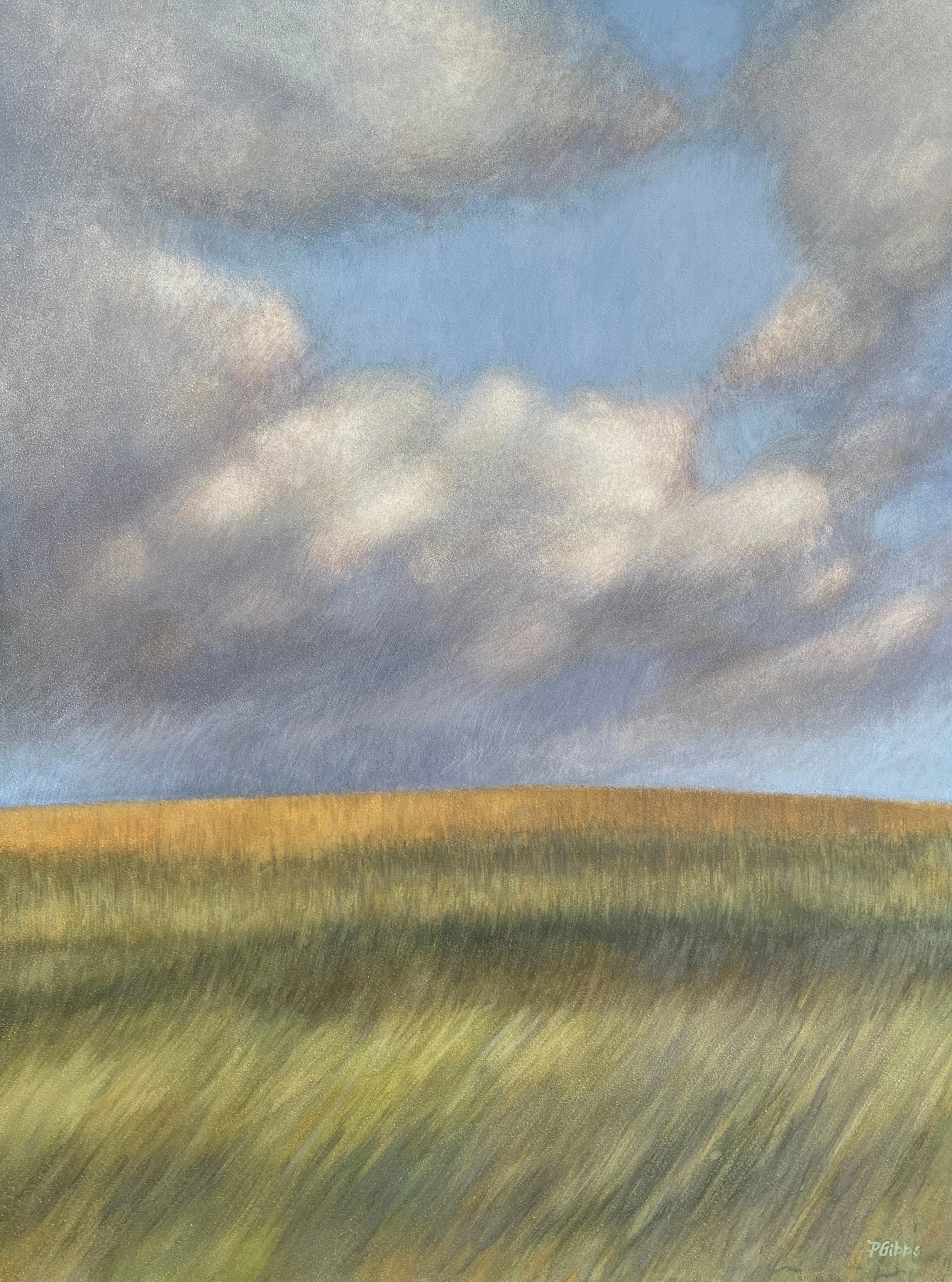 Palouse Hills | 18 x 24 | 2023