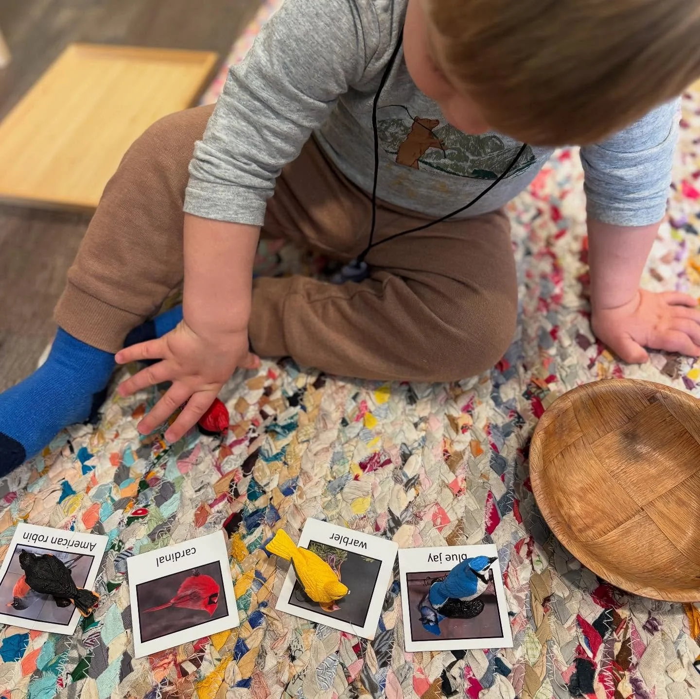 📚✨ Letters come alive in our classroom! At The Willow School, children explore language through hands-on activities that engage their senses, foster curiosity, and support early literacy in meaningful ways. Matching uppercase and lowercase letters i