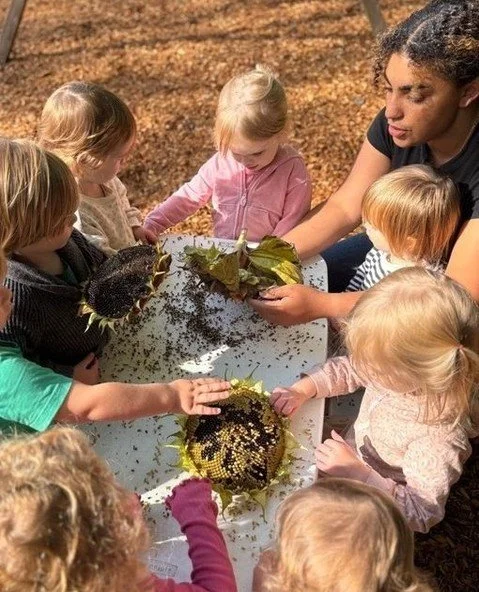 Gathering as a group helps children practice listening, taking turns, and sharing ideas. These small moments of belonging shape their ability to be both leaders and kind friends.⁠
⁠
✨ Fun Fact -  Circle time strengthens children&rsquo;s working memor