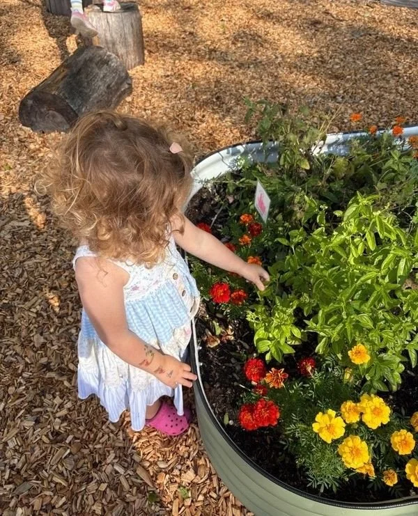 Noticing a leaf, a feather, or a beetle teaches children to slow down and observe details. That habit of wonder is the beginning of scientific thinking.⁠
⁠
✨ Did you know? Children who spend regular time in nature show higher levels of creativity and