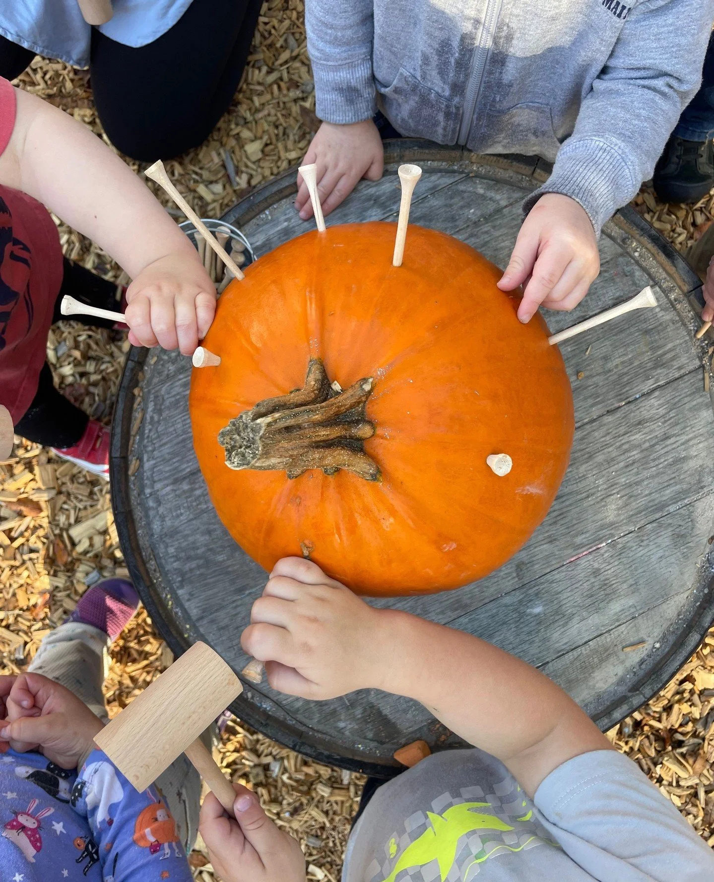 Pumpkins, golf tees, and little hammers &mdash; a perfect combo for building hand&ndash;eye coordination and strengthening fine motor muscles. ⁠
⁠
This kind of purposeful work helps prepare children for writing, dressing themselves, and all the small