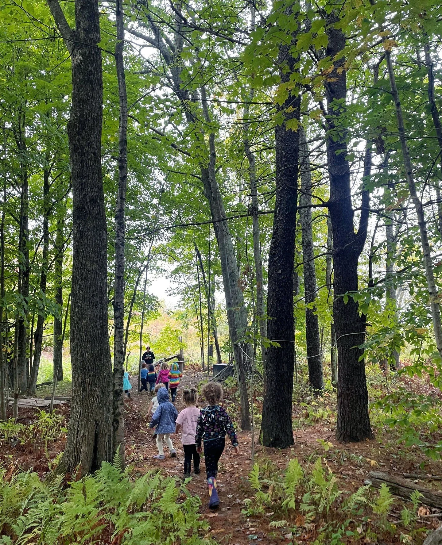 Into the forest...⁠
⁠
⁠
#childhoodunplugged #learningthroughplay #playmatters #sensoryplay #earlychildhood #earlylearning #outdoorlearning #outdoorkidsarehappykids #outdoorplayground #outdoorkidsn #maine #thewillowschoolcumberland #ece @raisingmaine