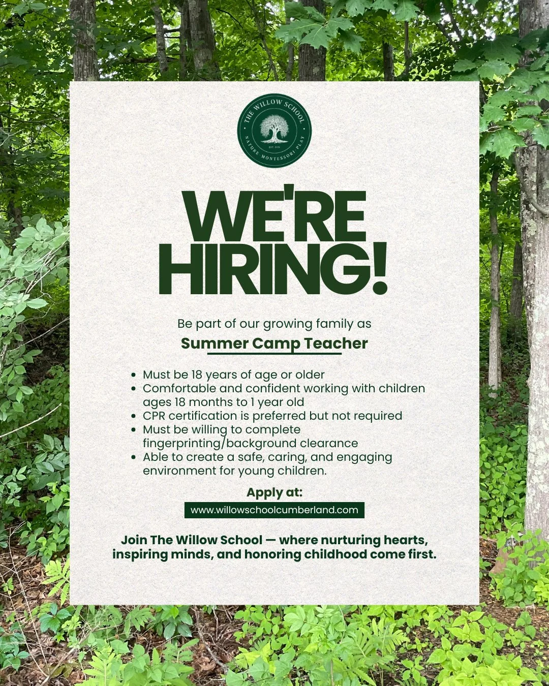 🌻 School&rsquo;s out, camp is in &mdash; and we&rsquo;re hiring!⁠
The Willow School is searching for warm, enthusiastic Summer Camp Teachers to help create a joyful and safe space for our campers this season ☀️⁠
⁠
If you love working with children, 