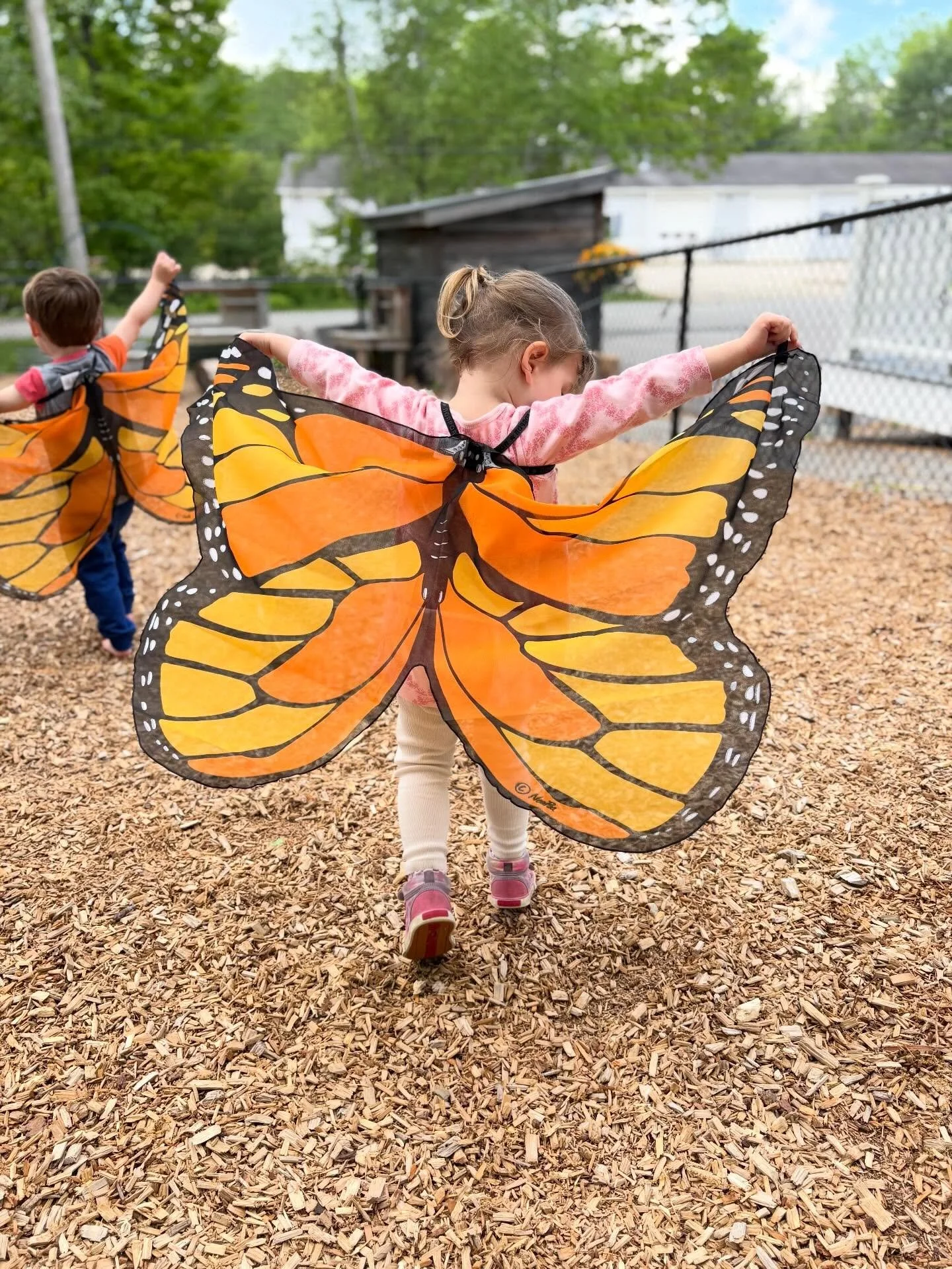 Joy is a toddler with butterfly wings!