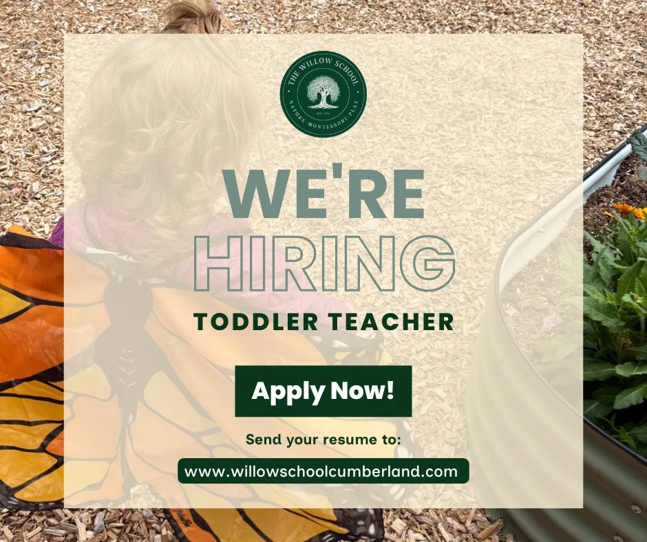 We're Hiring: Toddler Teacher 🌿⁠
⁠
Do you have a heart for nurturing young children and a passion for helping them grow through exploration, independence, and meaningful connections? We're looking for a warm, dependable, and collaborative Toddler Te