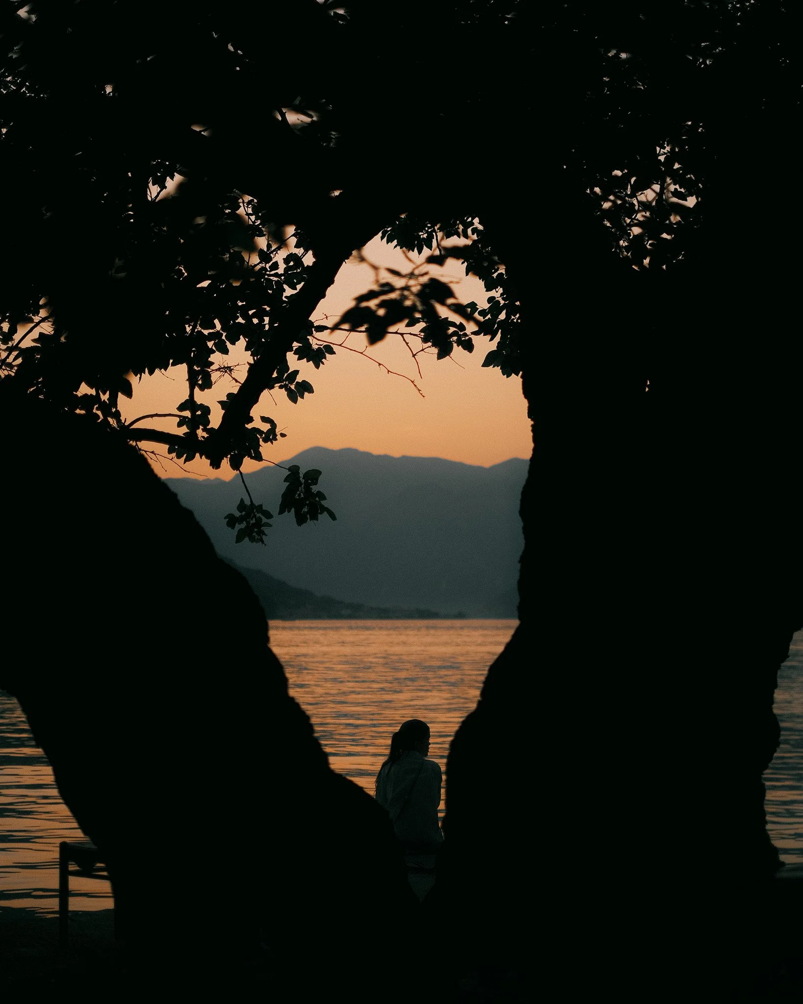 DSCF9656.jpg