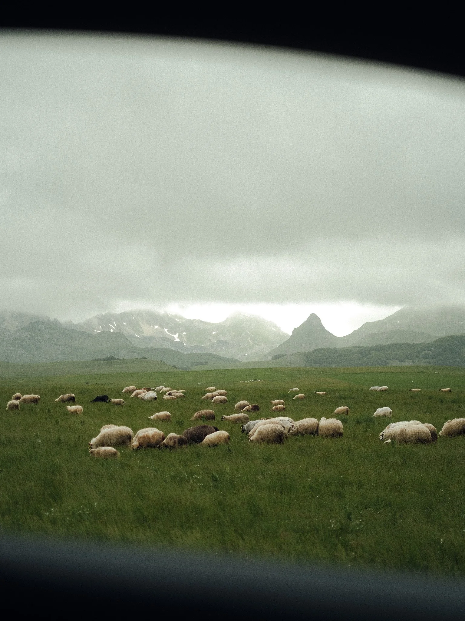 DSCF8948.jpg