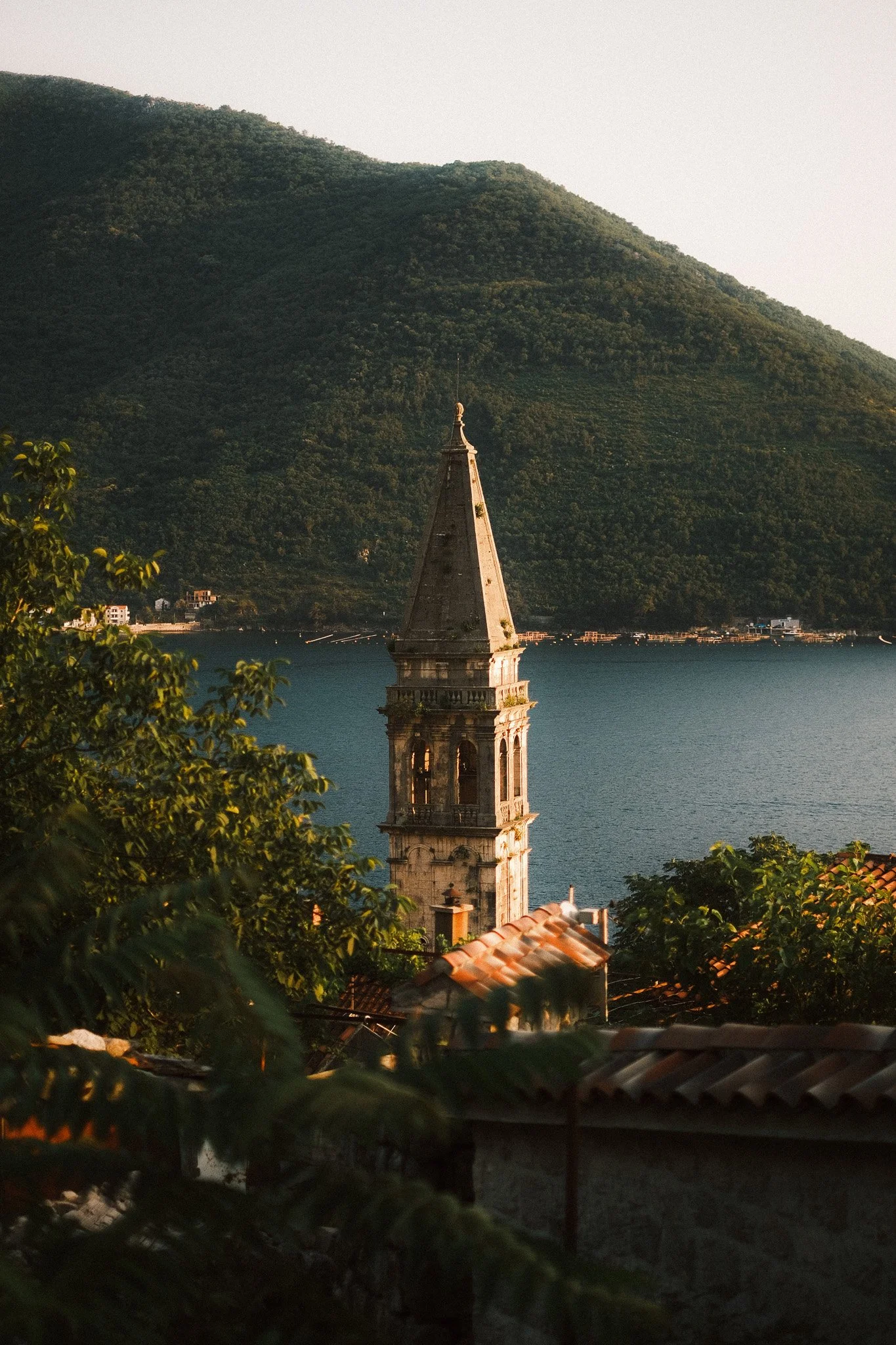 DSCF9518.jpg
