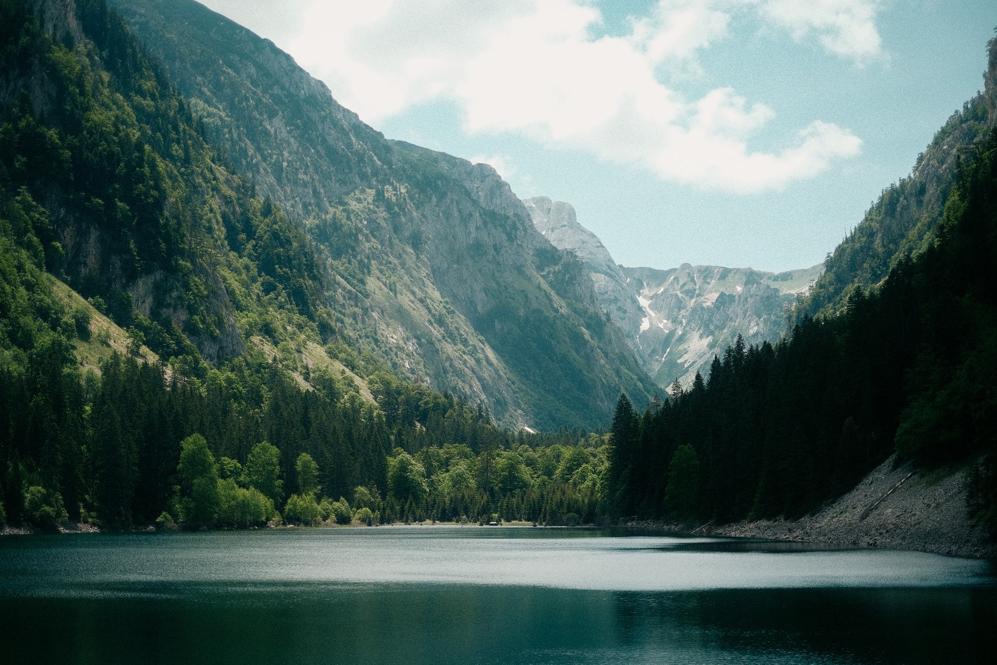 DSCF9316.jpg