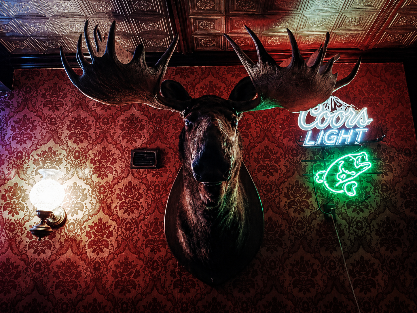 texaselk.png