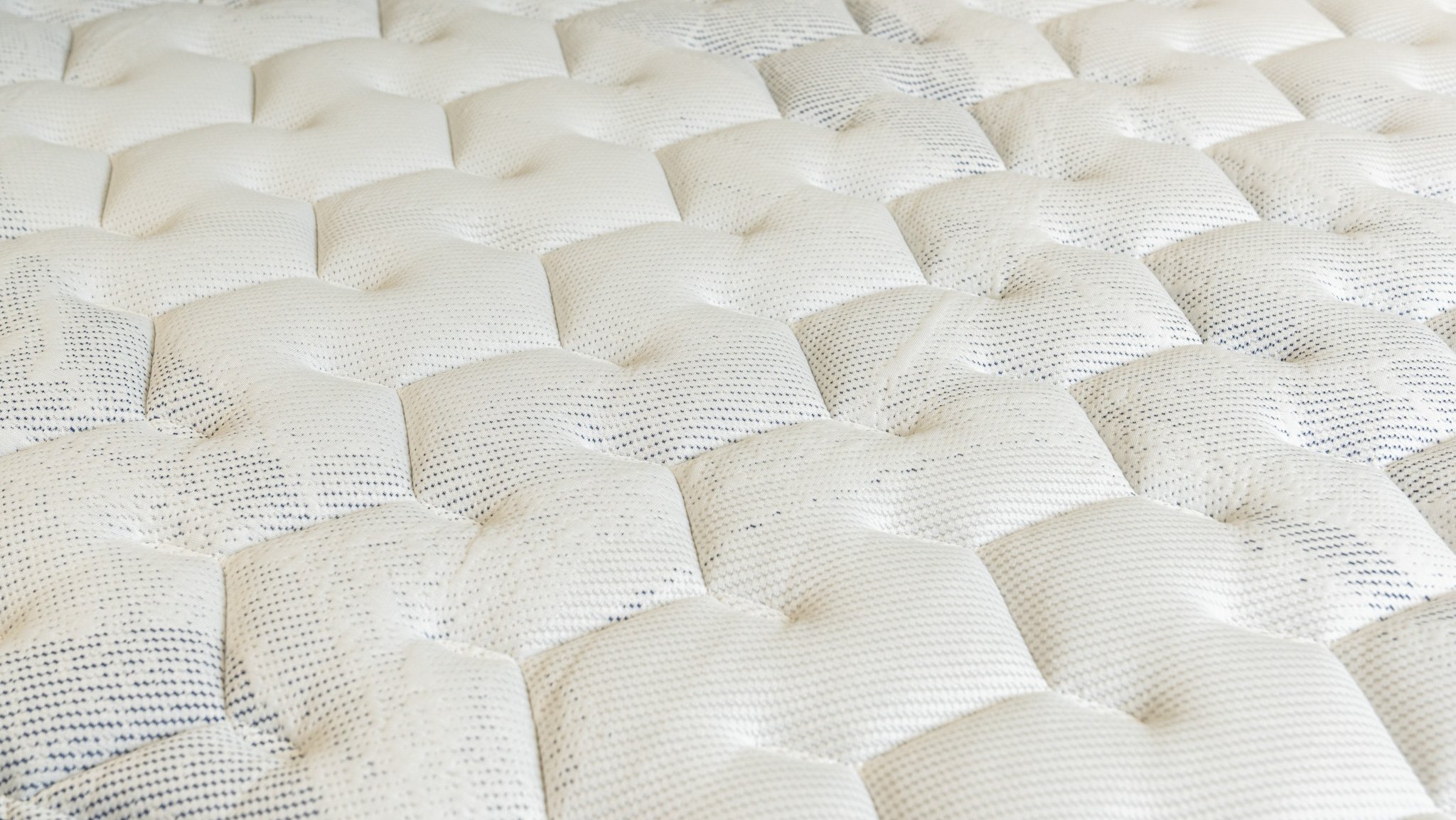 A7403074 Filo.jpg