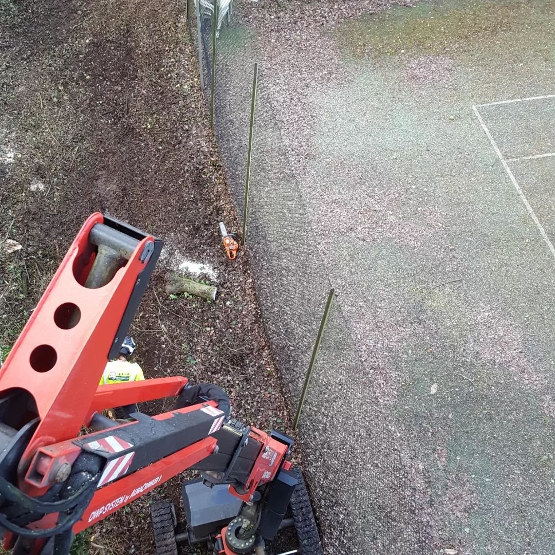 Our #jibbi  was an ideal solution Clearing these leaning willow  away from the village #tennis court in #chilwoth #southampton due to there  material and shade having adverse effect on safety on court surface. our #almacrawler #jibbi1250evo came in t