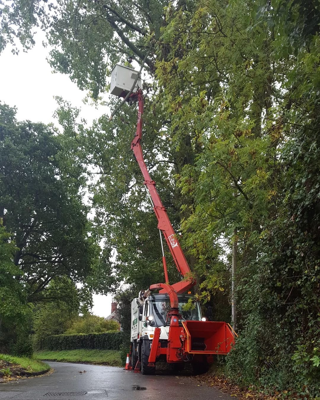 Call out from a concerned tree owner client in wickham yesterday morning hanging  snapped limb removed with ease