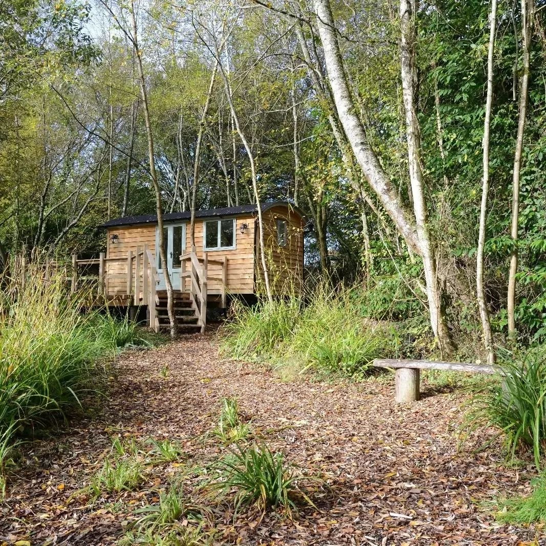 Our lovely new shepards hut placed along side fairbourne lake we think what better way to share the lovley little slice nature we have. Hear in Timsbury in the Test valley. If you fancy a brake here? Follow the link in bio.

whant to know more about 