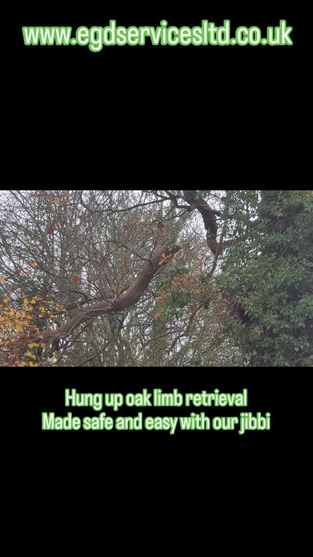Slide 17
