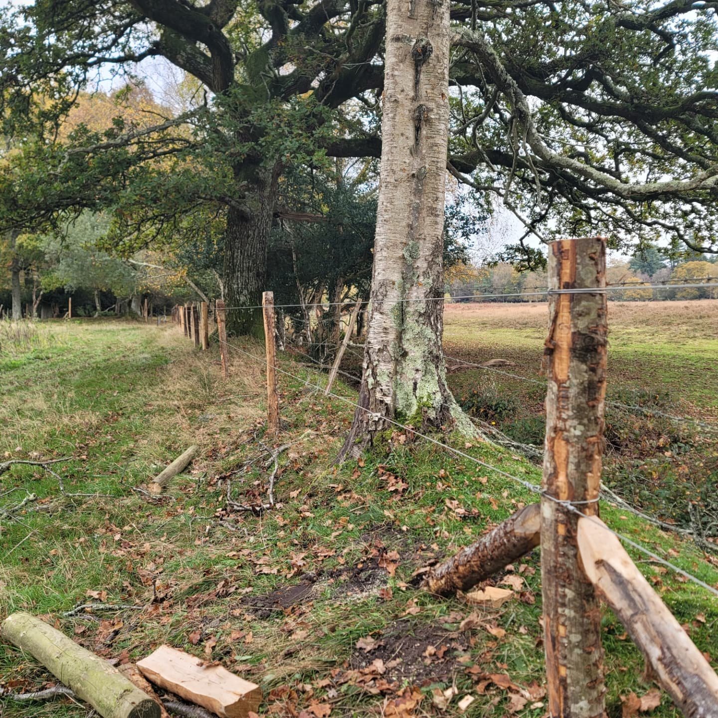 Recent feceing job in the new forest. 
This passive fence erected to replace several old  barbed wire fences  over a perimeter  of 1.3 kilometres spread over several paddocks through tree lines and negotiating water ways. The chestnut post and two ba