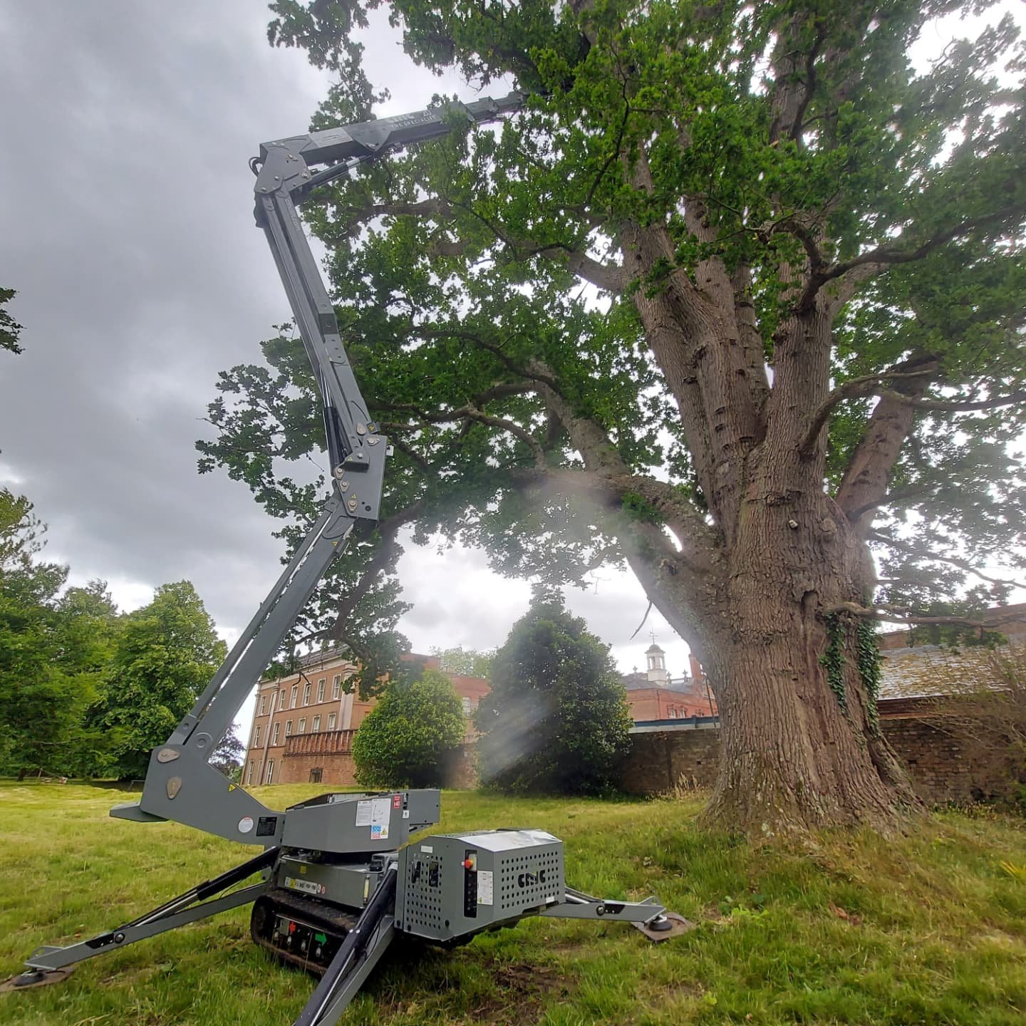 Braceing installed on this Veteran oak tree.

50m of 8t boa bracing installed on this Veteran  oak  to reduce the  possibility of  faliure  of  specific target limbs due to the hollowing of stem up into main union focus on lowest limb unions  and pro