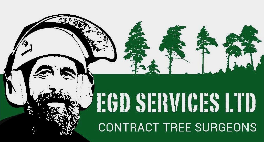 EGD SERVICES  LTD 