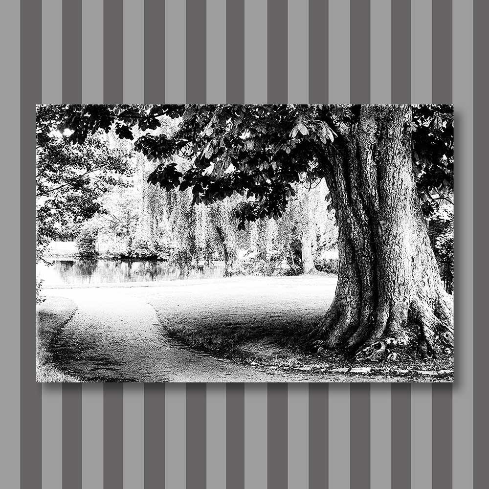 a walk in the park.jpg