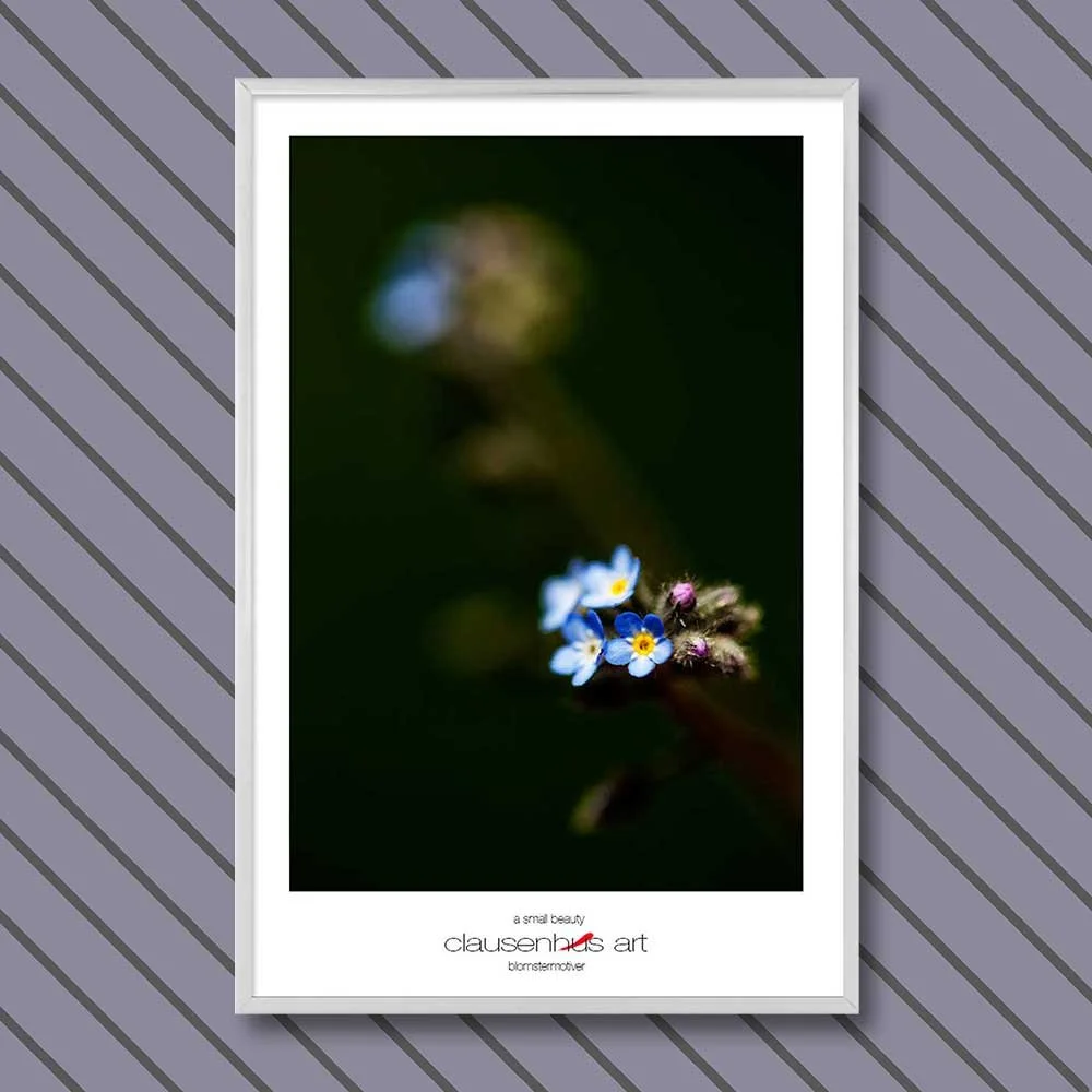 a-small-beauty-copy.jpg
