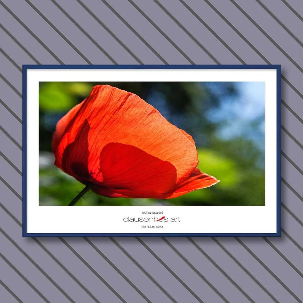 red-transparent-copy.jpg