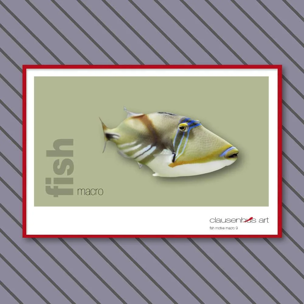 fish 9.jpg
