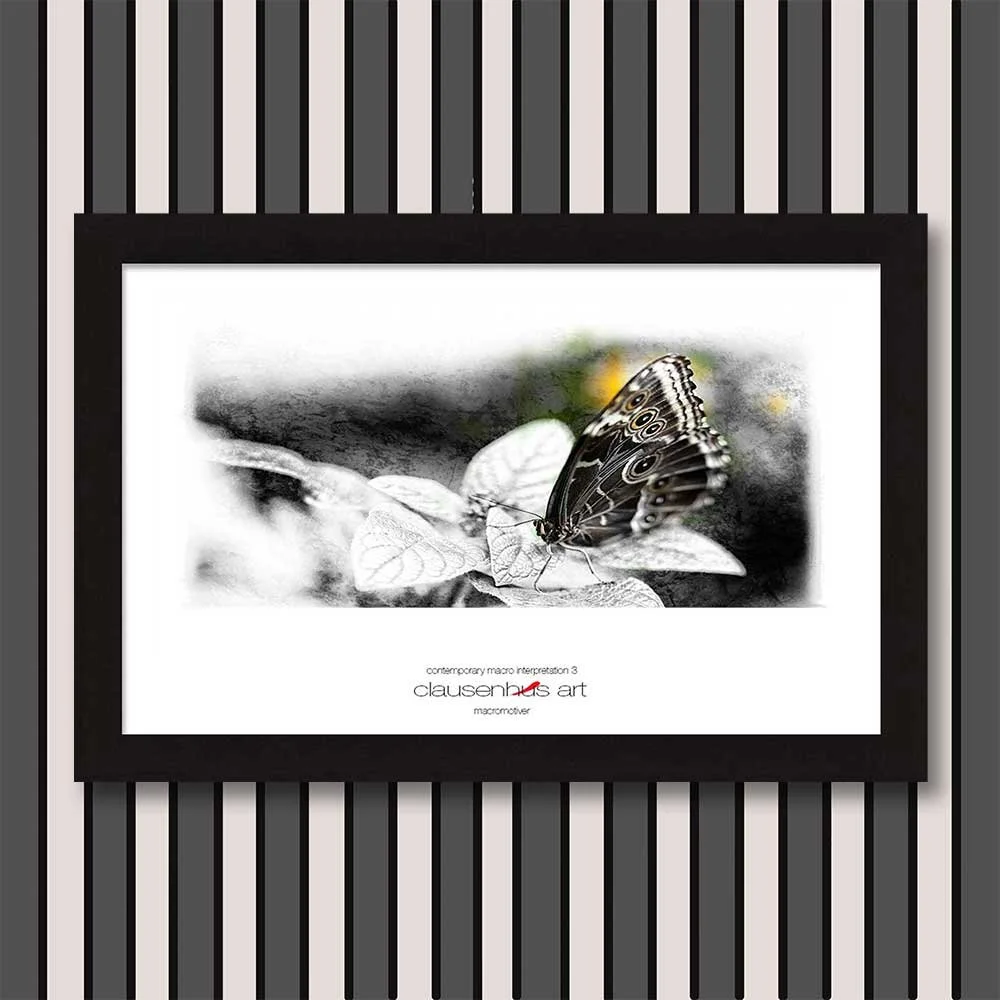 contemporary-macro-interpretation-3-copy.jpg